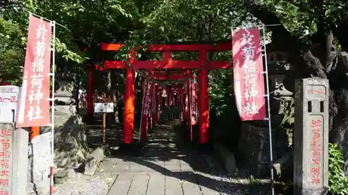 於菊稲荷神社の鳥居