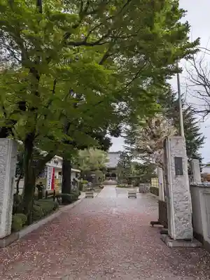 東光寺(東京都)