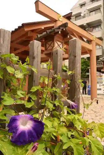 【閉業】小石川大神宮(東京都)