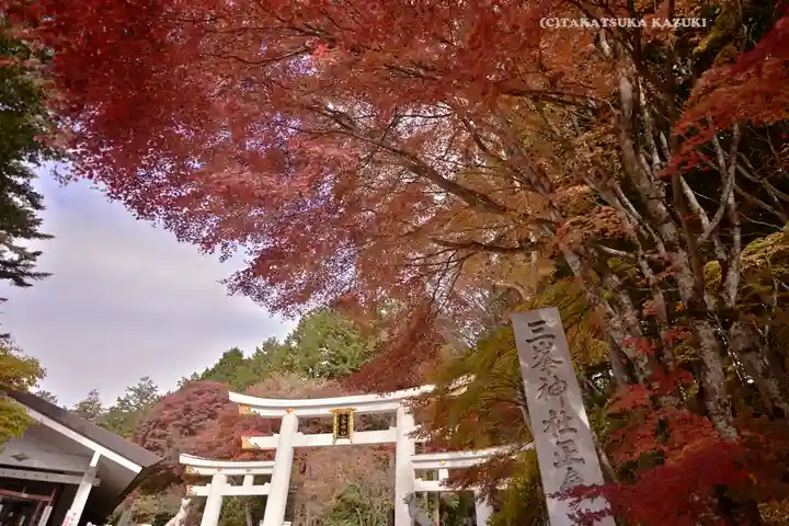 三峯神社(埼玉県)
