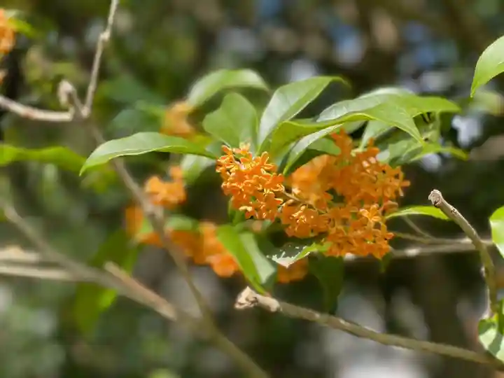 伊勢の国 四天王寺(三重県)