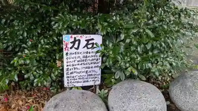 若狭彦姫神社(福井県)