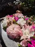 本郷氷川神社(東京都)