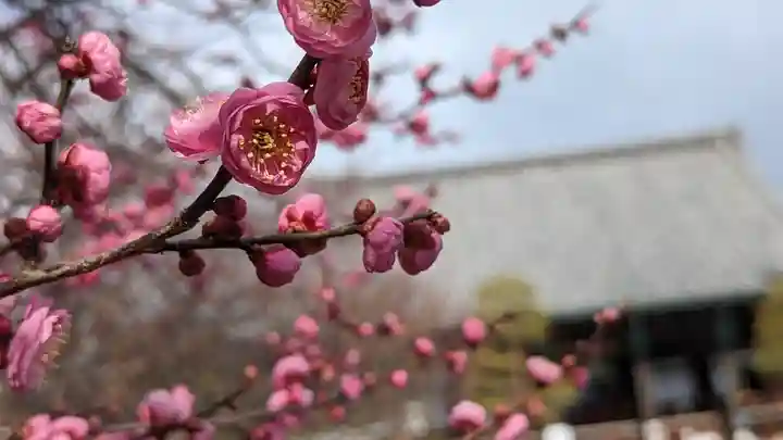 清凉寺(京都府)