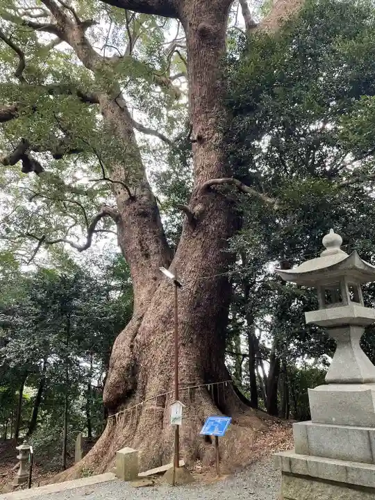 五所八幡宮の自然