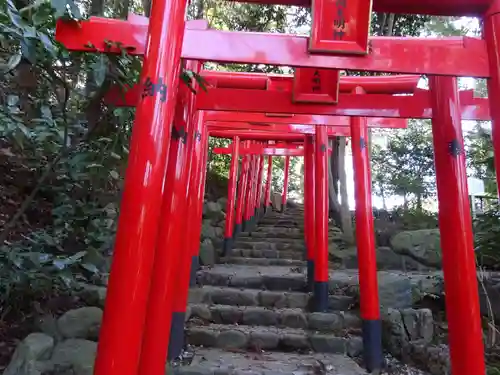 白笹稲荷神社の鳥居