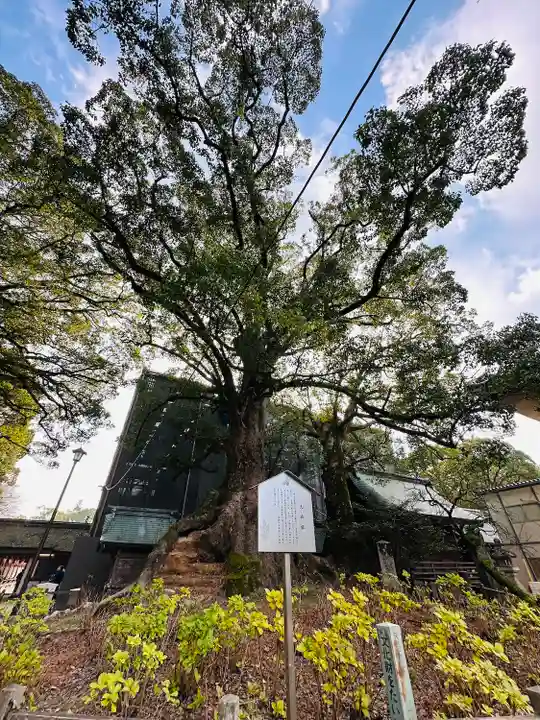 太宰府天満宮の自然