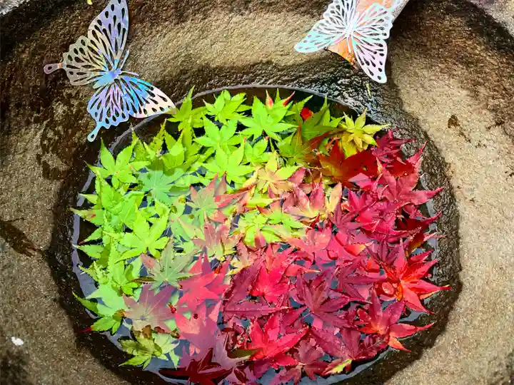 真言宗 善通寺派 薬王寺の手水舎