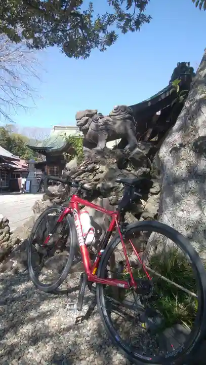菊田神社(千葉県)