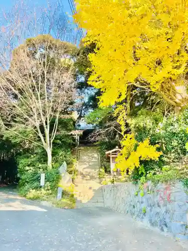 清滝寺の{uncategorized: "未分類", other: "その他", undefined: "問題あり", building: "その他建物", grave: "お墓", sacred_gate: "鳥居", guardian: "狛犬", statue: "像", buddha: "仏像", history: "歴史", nature: "自然", garden: "庭園", animal: "動物", pagoda: "塔", temizu: "手水舎", mountain_gate: "山門・神門", sanctuary: "本殿・本堂", subordinate: "末社・摂社", art: "芸術", scenery: "景色", jizo: "地蔵", ema: "絵馬", goshuin: "御朱印", omikuji: "おみくじ", items: "授与品その他", amulet: "お守り", goshuincho: "御朱印帳", eats: "食事", festival: "お祭り", votive_dance: "神楽", shichigosan: "七五三参", wedding: "結婚式", experience: "体験その他", initially: "初詣", around: "周辺", anti_infection: "感染症対策"}