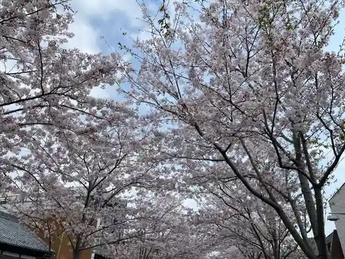 鶴岡八幡宮の自然