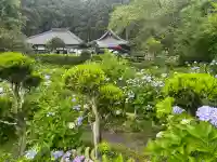 極楽寺(静岡県)