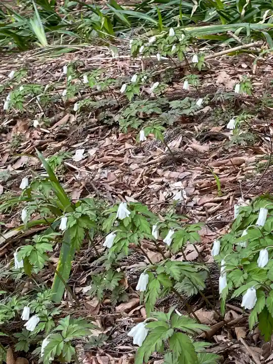 国上寺(新潟県)