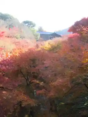 東福禅寺（東福寺）(京都府)
