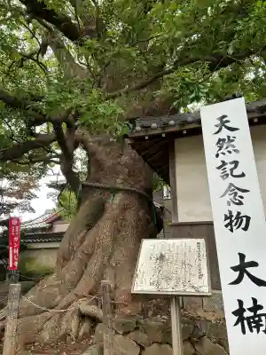 無量寺(愛知県)