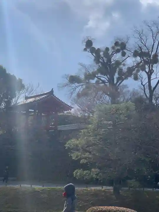 平等院(京都府)