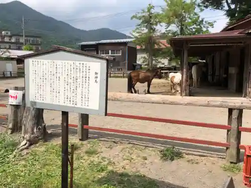 小室浅間神社の歴史