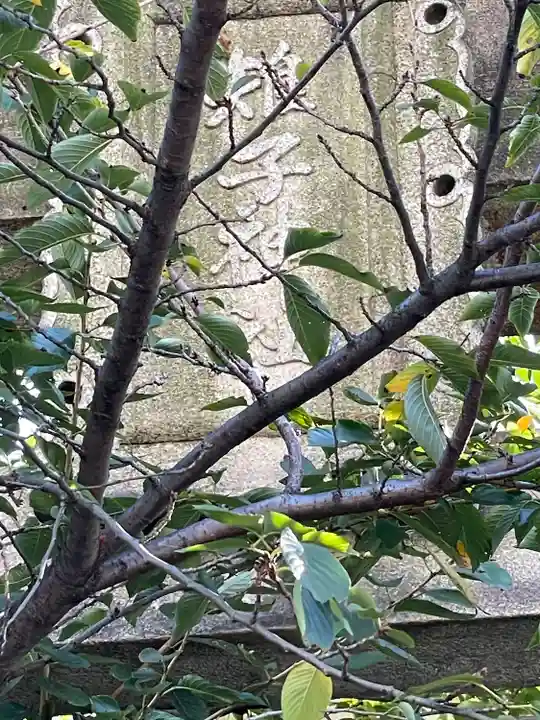 雉子神社のその他建物