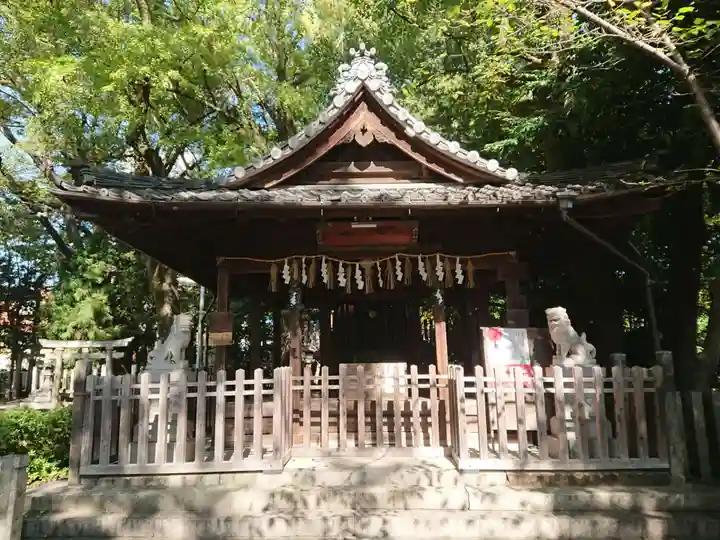 白山神社(大須白山神社)の本殿・本堂