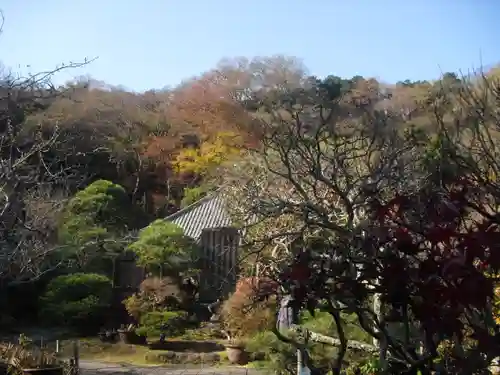 光則寺の庭園