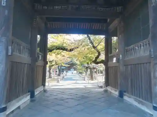 祐天寺の景色