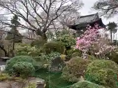 大山寺の自然