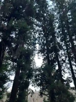大宮温泉神社の自然