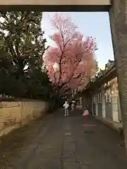 田端八幡神社(東京都)