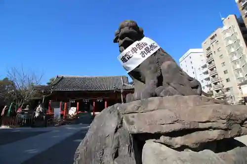 浅草神社の狛犬