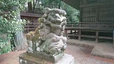 虎柏神社の狛犬