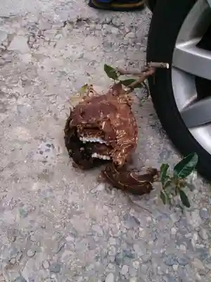 大神宮寺御倉堂(三重県)