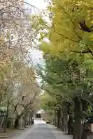 吉祥寺(東京都)