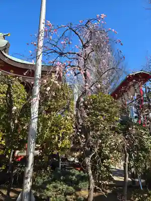 居木神社(東京都)
