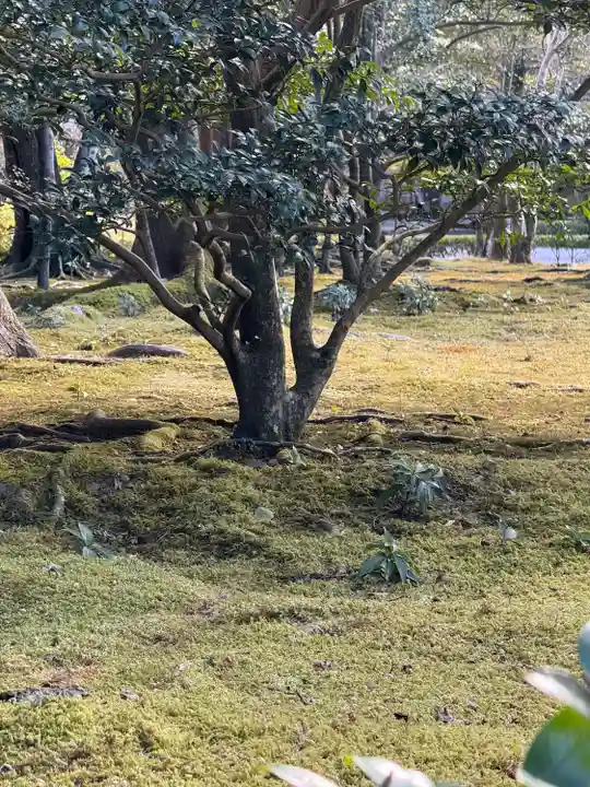 伊勢神宮内宮(皇大神宮)(三重県)