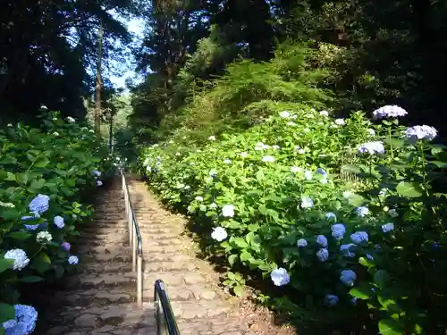 太平山神社の自然