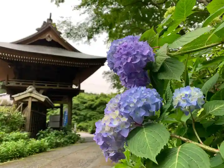 普門寺(切り絵御朱印発祥の寺)(愛知県)