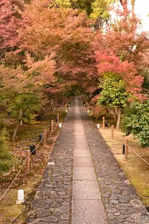 鹿王院(京都府)