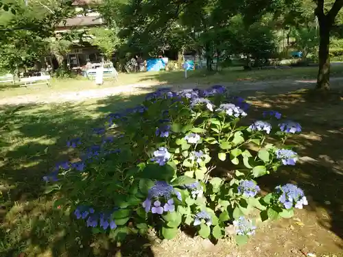 桃太郎神社の庭園