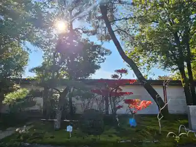 中宮寺(奈良県)