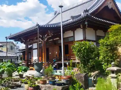 安養寺(京都府)