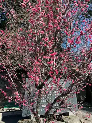 賀茂別雷神社(栃木県)