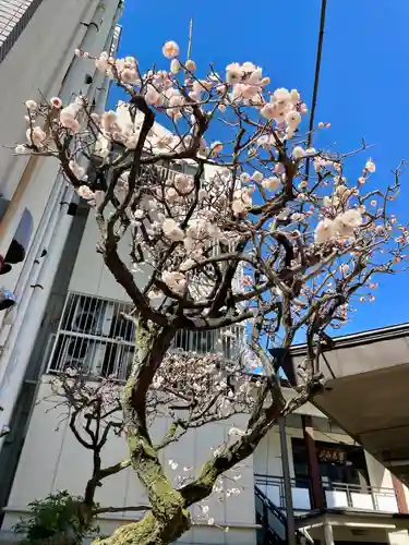 神楽坂安養寺(東京都)