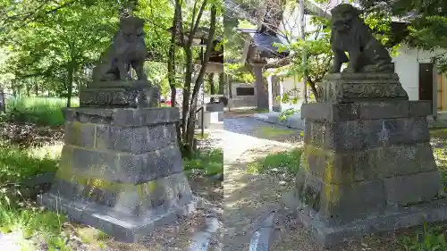 神楽神社の狛犬