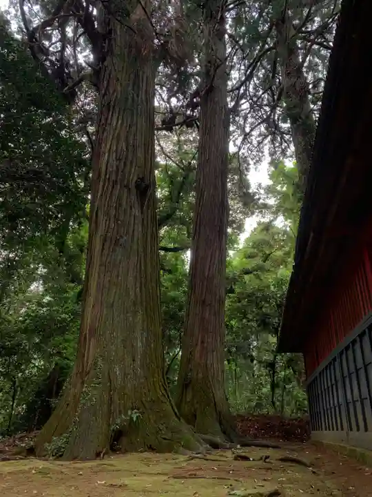 天神社(千葉県)