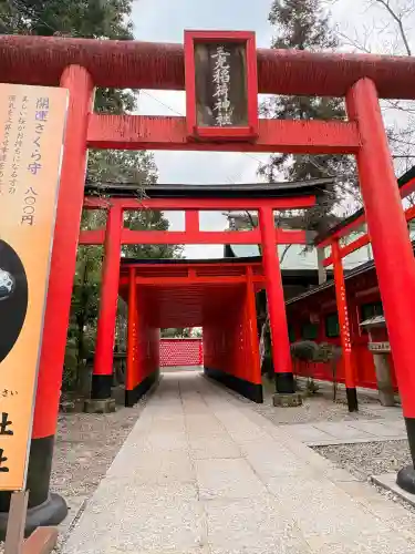 三光稲荷神社の{uncategorized: "未分類", other: "その他", undefined: "問題あり", building: "その他建物", grave: "お墓", sacred_gate: "鳥居", guardian: "狛犬", statue: "像", buddha: "仏像", history: "歴史", nature: "自然", garden: "庭園", animal: "動物", pagoda: "塔", temizu: "手水舎", mountain_gate: "山門・神門", sanctuary: "本殿・本堂", subordinate: "末社・摂社", art: "芸術", scenery: "景色", jizo: "地蔵", ema: "絵馬", goshuin: "御朱印", omikuji: "おみくじ", items: "授与品その他", amulet: "お守り", goshuincho: "御朱印帳", eats: "食事", festival: "お祭り", votive_dance: "神楽", shichigosan: "七五三参", wedding: "結婚式", experience: "体験その他", initially: "初詣", around: "周辺", anti_infection: "感染症対策"}