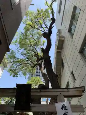 少彦名神社(大阪府)