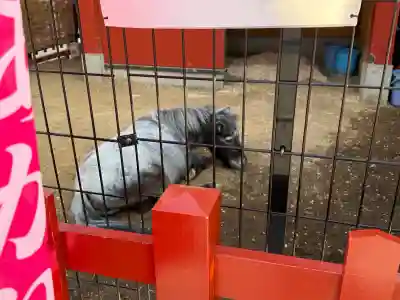 神田神社（神田明神）の{uncategorized: "未分類", other: "その他", undefined: "問題あり", building: "その他建物", grave: "お墓", sacred_gate: "鳥居", guardian: "狛犬", statue: "像", buddha: "仏像", history: "歴史", nature: "自然", garden: "庭園", animal: "動物", pagoda: "塔", temizu: "手水舎", mountain_gate: "山門・神門", sanctuary: "本殿・本堂", subordinate: "末社・摂社", art: "芸術", scenery: "景色", jizo: "地蔵", ema: "絵馬", goshuin: "御朱印", omikuji: "おみくじ", items: "授与品その他", amulet: "お守り", goshuincho: "御朱印帳", eats: "食事", festival: "お祭り", votive_dance: "神楽", shichigosan: "七五三参", wedding: "結婚式", experience: "体験その他", initially: "初詣", around: "周辺", anti_infection: "感染症対策"}
