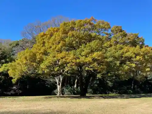 明治神宮(東京都)