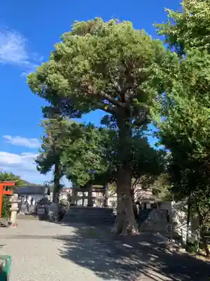 東漸寺(神奈川県)