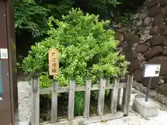 武田神社(山梨県)